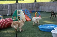 daycare pic 86 - playtime